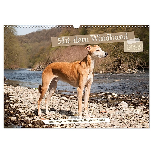 Mit dem Windhund unterwegs im zauberhaften Bergischen Land (Wandkalender 2025 DIN A3 quer), CALVENDO Monatskalender, Calvendo, Meike Bölts