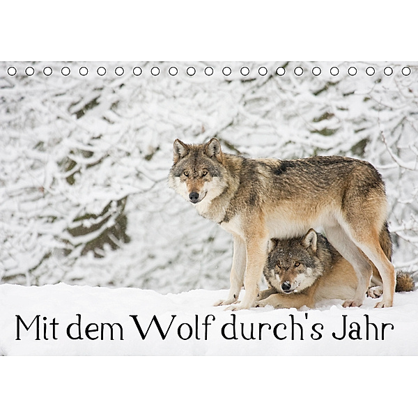 Mit dem Wolf durch's Jahr (Tischkalender 2019 DIN A5 quer), Wilfried Martin