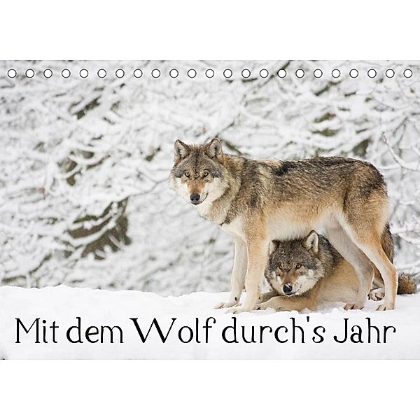 Mit dem Wolf durch's Jahr (Tischkalender 2023 DIN A5 quer), Wilfried Martin