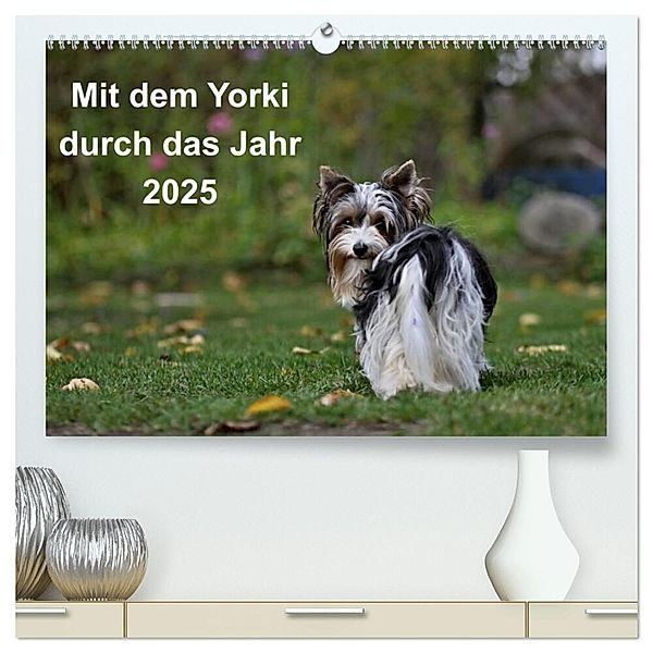 Mit dem Yorki durch das Jahr 2025 (hochwertiger Premium Wandkalender 2025 DIN A2 quer), Kunstdruck in Hochglanz, Calvendo, Friedhelm Bauer