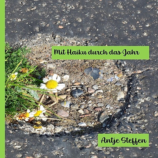Mit Haiku durch das Jahr, Antje Steffen