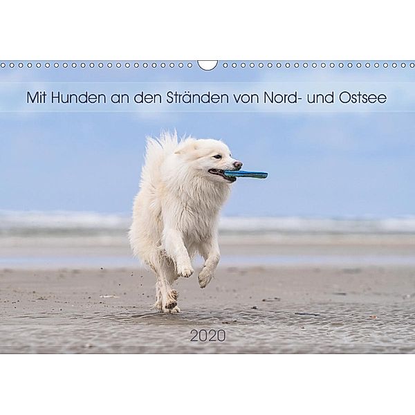 Mit Hunden an den Stränden von Nord- und Ostsee (Wandkalender 2020 DIN A3 quer), Monika Scheurer