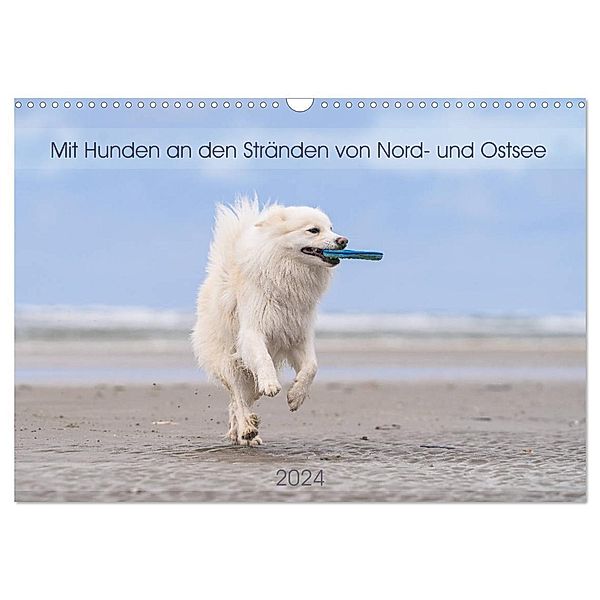 Mit Hunden an den Stränden von Nord- und Ostsee (Wandkalender 2024 DIN A3 quer), CALVENDO Monatskalender, Monika Scheurer