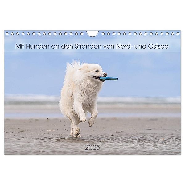 Mit Hunden an den Stränden von Nord- und Ostsee (Wandkalender 2025 DIN A4 quer), CALVENDO Monatskalender, Calvendo, Monika Scheurer