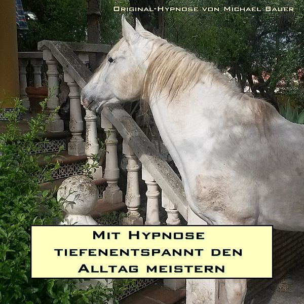 Mit Hypnose tiefenentspannt den Alltag meistern, Michael Bauer