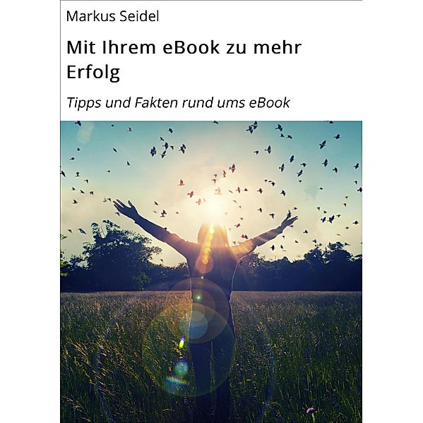 Mit Ihrem eBook zu mehr Erfolg, Markus Seidel