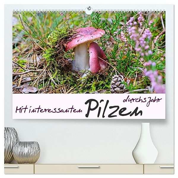 Mit interessanten Pilzen durchs Jahr (hochwertiger Premium Wandkalender 2024 DIN A2 quer), Kunstdruck in Hochglanz, LianeM