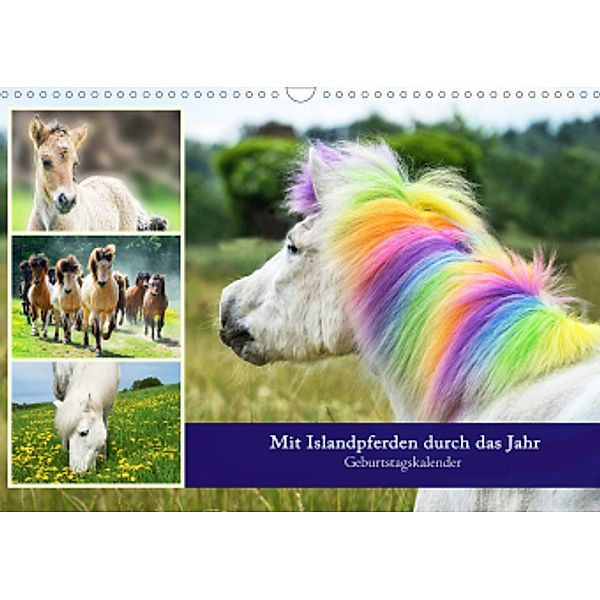 Mit Islandpferden durch das Jahr Geburtstagskalender (Wandkalender 2021 DIN A3 quer), Angelika Beuck