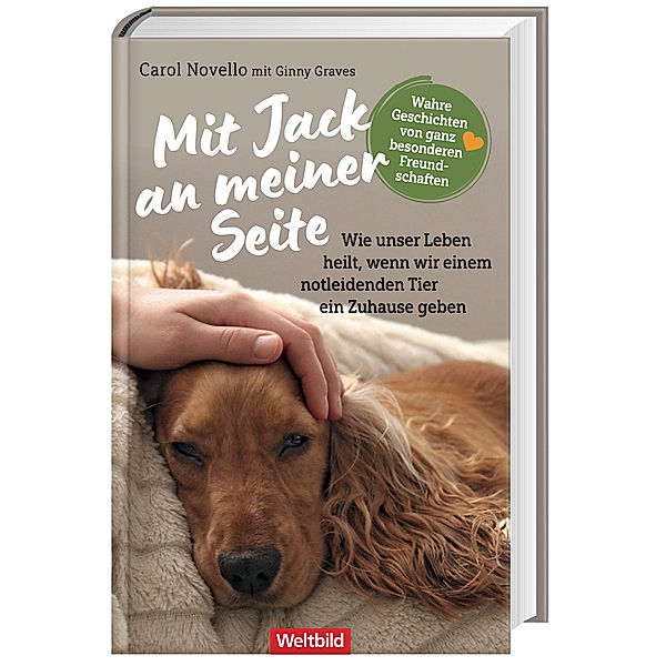 Mit Jack an meiner Seite, Carol Novello, Ginny Graves