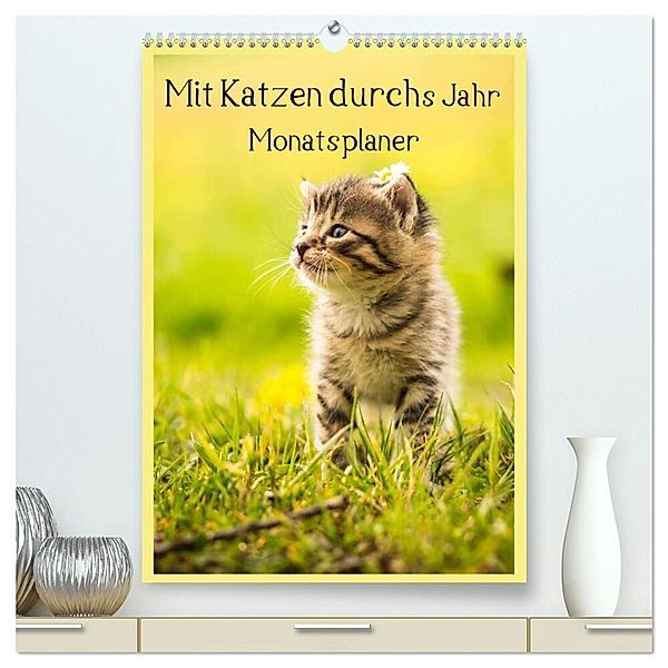 Mit Katzen durchs Jahr / Planer (hochwertiger Premium Wandkalender 2024 DIN A2 hoch), Kunstdruck in Hochglanz, Yvonne Obermüller Fotografie