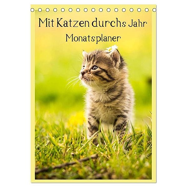Mit Katzen durchs Jahr / Planer (Tischkalender 2024 DIN A5 hoch), CALVENDO Monatskalender, Yvonne Obermüller Fotografie