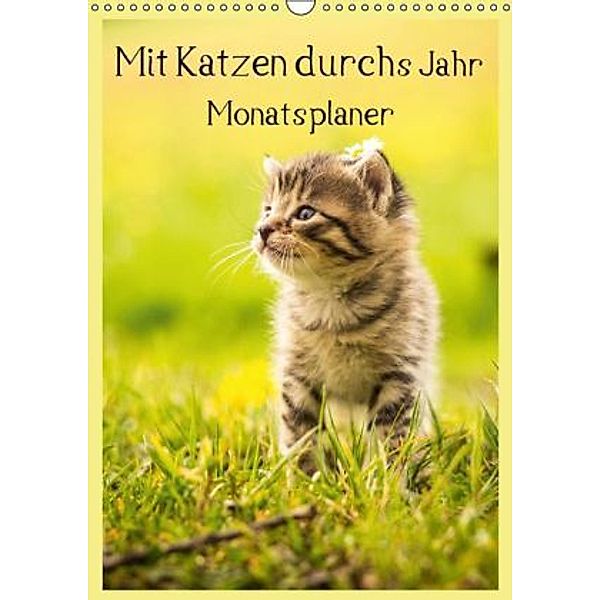 Mit Katzen durchs Jahr / Planer (Wandkalender 2015 DIN A3 hoch), Yvonne Obermüller