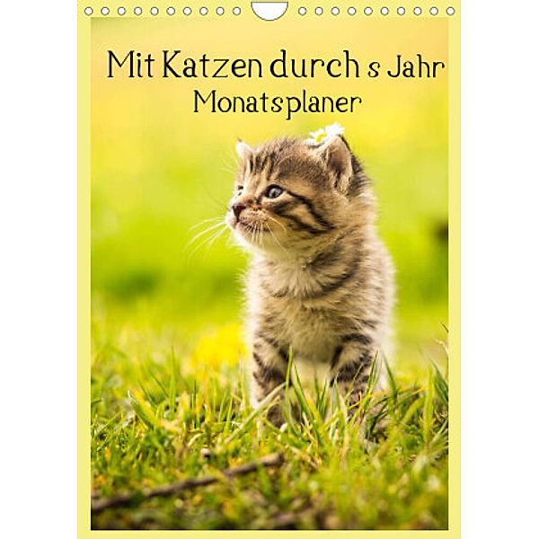 Mit Katzen durchs Jahr / Planer (Wandkalender 2022 DIN A4 hoch), Yvonne Obermüller Fotografie