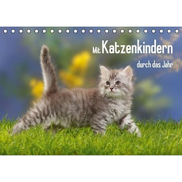 Mit Katzenkindern durch das Jahr (Tischkalender 2016 DIN A5 quer), Petra Wegner