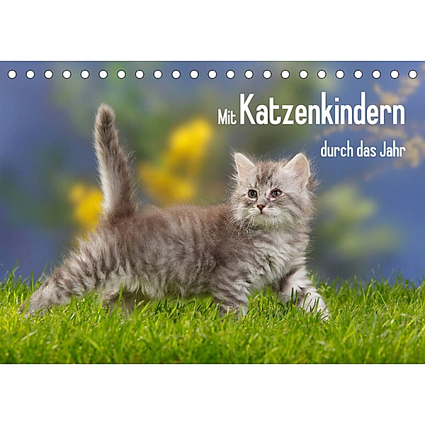 Mit Katzenkindern durch das Jahr (Tischkalender 2023 DIN A5 quer), Petra Wegner