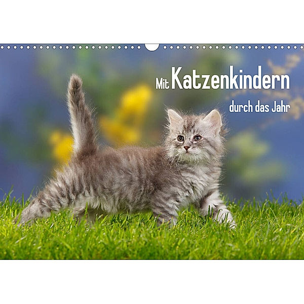 Mit Katzenkindern durch das Jahr (Wandkalender 2023 DIN A3 quer), Petra Wegner