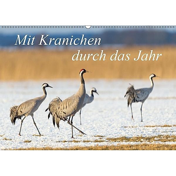 Mit Kranichen durch das Jahr (Wandkalender 2019 DIN A2 quer), Sidney Smith