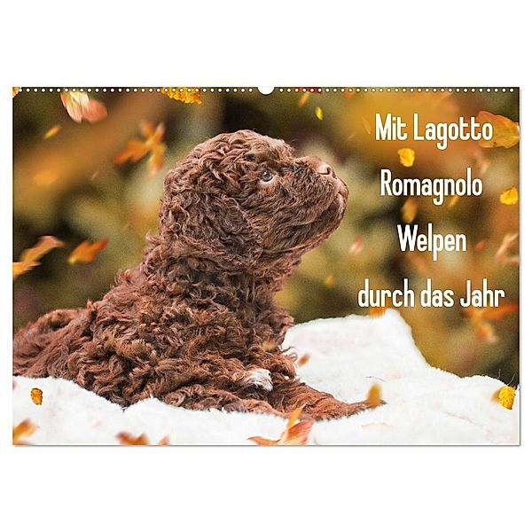 Mit Lagotto Romagnolo Welpen durch das Jahr (Wandkalender 2024 DIN A2 quer), CALVENDO Monatskalender, Sigrid Starick