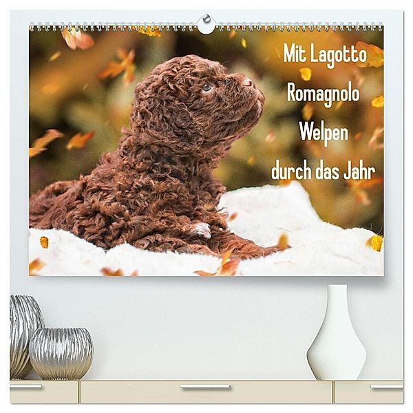 Mit Lagotto Romagnolo Welpen durch das Jahr (hochwertiger Premium Wandkalender 2024 DIN A2 quer), Kunstdruck in Hochglanz, Sigrid Starick