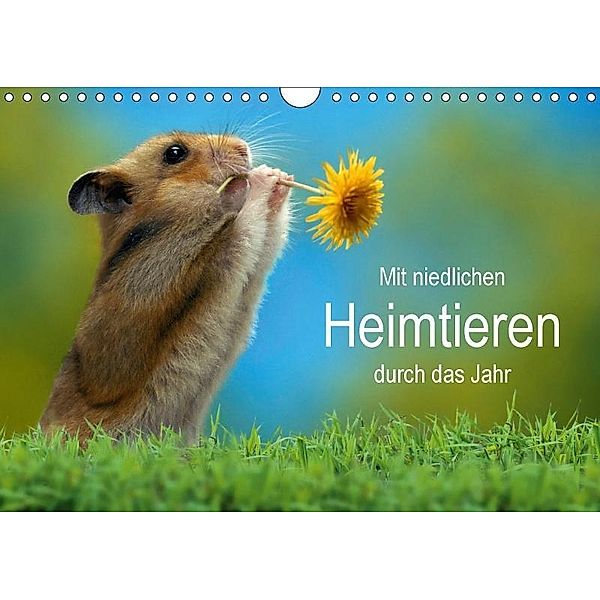 Mit niedlichen Heimtieren durch das Jahr (Wandkalender 2017 DIN A4 quer), Petra Wegner