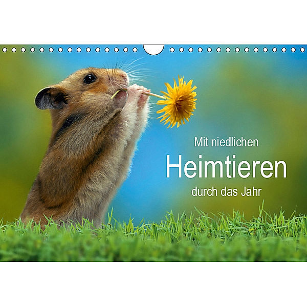 Mit niedlichen Heimtieren durch das Jahr (Wandkalender 2019 DIN A4 quer), Petra Wegner