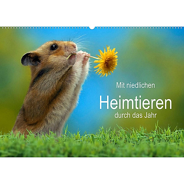 Mit niedlichen Heimtieren durch das Jahr (Wandkalender 2023 DIN A2 quer), Petra Wegner
