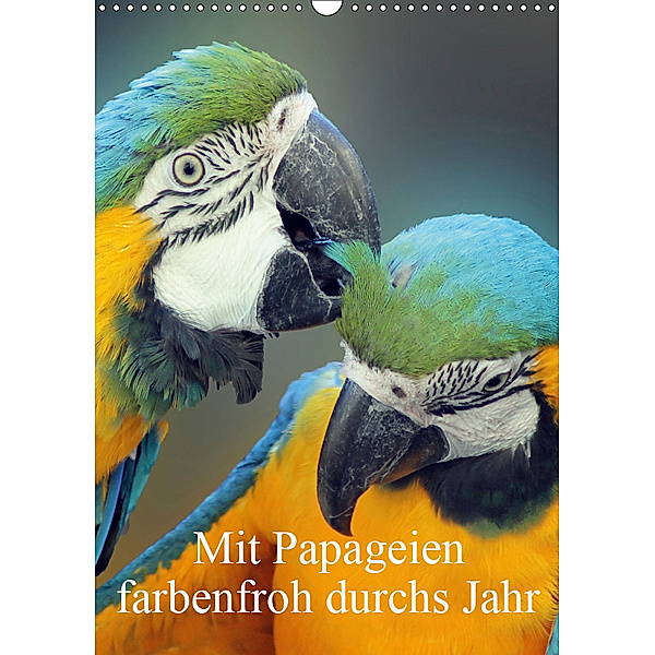 Mit Papageien farbenfroh durchs Jahr (Wandkalender 2019 DIN A3 hoch), Marion Bönner