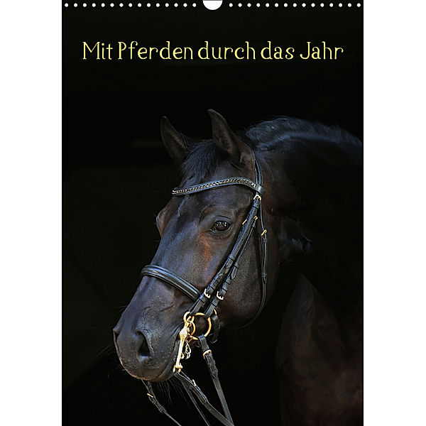 Mit Pferden durch das Jahr (Wandkalender 2019 DIN A3 hoch), Anja Blum