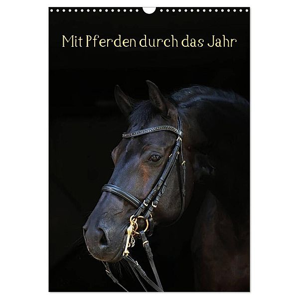 Mit Pferden durch das Jahr (Wandkalender 2024 DIN A3 hoch), CALVENDO Monatskalender, Anja Blum