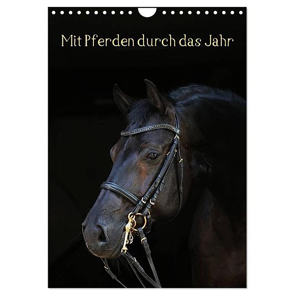 Mit Pferden durch das Jahr (Wandkalender 2024 DIN A4 hoch), CALVENDO Monatskalender, Anja Blum