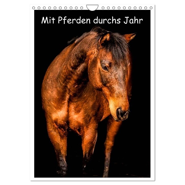 Mit Pferden durchs Jahr / Planer (Wandkalender 2024 DIN A4 hoch), CALVENDO Monatskalender, Yvonne Obermüller Fotografie