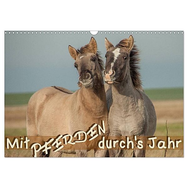 Mit Pferden durch´s Jahr (Wandkalender 2025 DIN A3 quer), CALVENDO Monatskalender, Calvendo, Theresa Petzold