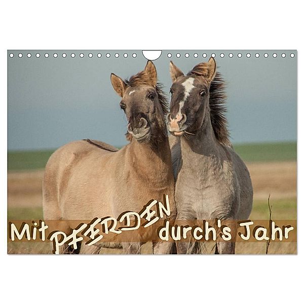 Mit Pferden durch´s Jahr (Wandkalender 2025 DIN A4 quer), CALVENDO Monatskalender, Calvendo, Theresa Petzold