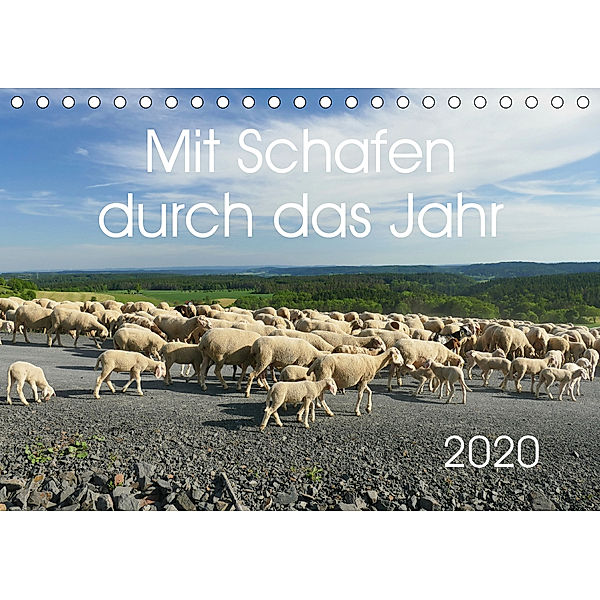 Mit Schafen durch das Jahr (Tischkalender 2020 DIN A5 quer), Cordula Kelle-Dingel