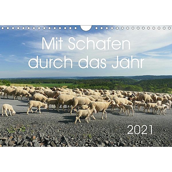 Mit Schafen durch das Jahr (Wandkalender 2021 DIN A4 quer), Cordula Kelle-Dingel, CoKeDi-Photographie