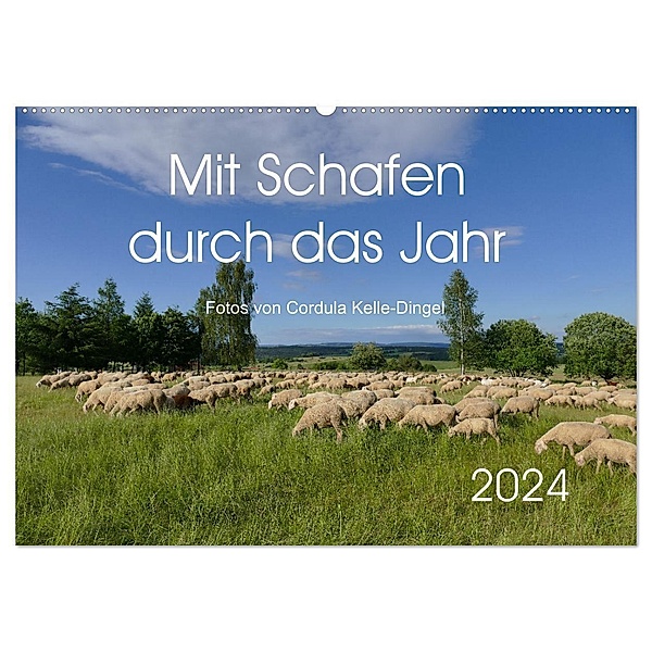 Mit Schafen durch das Jahr (Wandkalender 2024 DIN A2 quer), CALVENDO Monatskalender, CoKeDi-Photographie, Cordula Kelle-Dingel