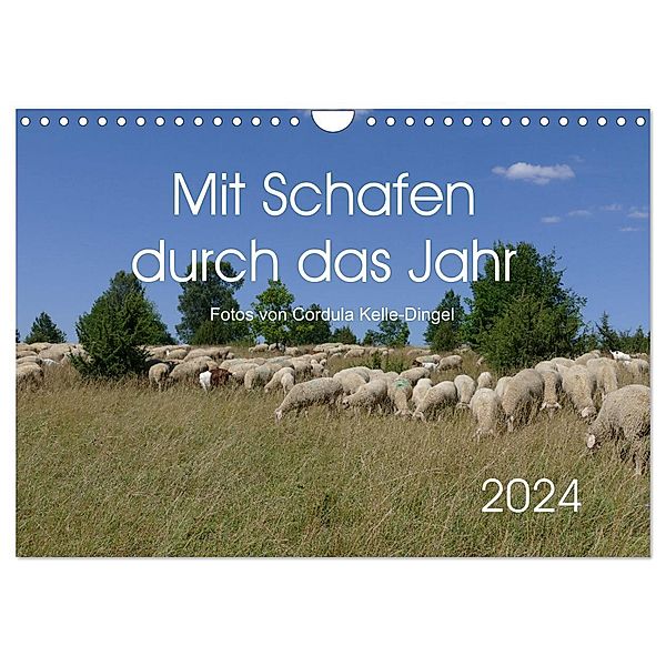 Mit Schafen durch das Jahr (Wandkalender 2024 DIN A4 quer), CALVENDO Monatskalender, CoKeDi-Photographie, Cordula Kelle-Dingel