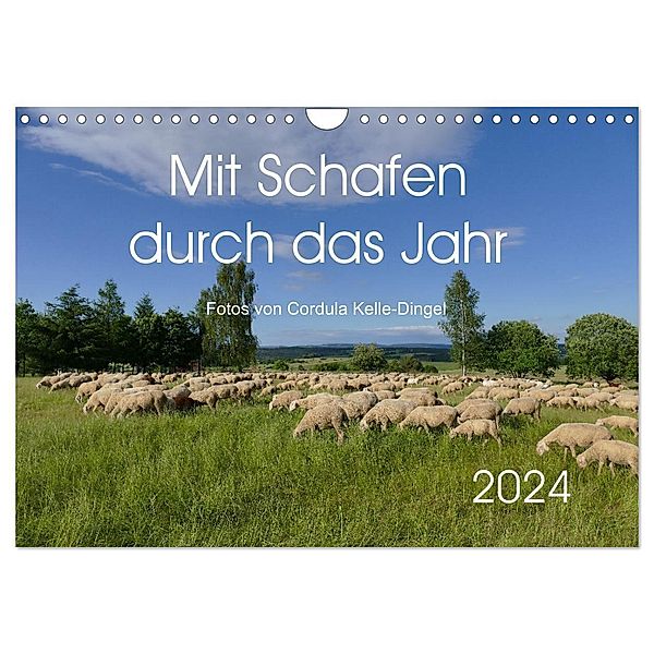 Mit Schafen durch das Jahr (Wandkalender 2024 DIN A4 quer), CALVENDO Monatskalender, CoKeDi-Photographie, Cordula Kelle-Dingel