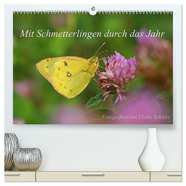 Mit Schmetterlingen durch das Jahr (hochwertiger Premium Wandkalender 2024 DIN A2 quer), Kunstdruck in Hochglanz, Ulrike Schäfer