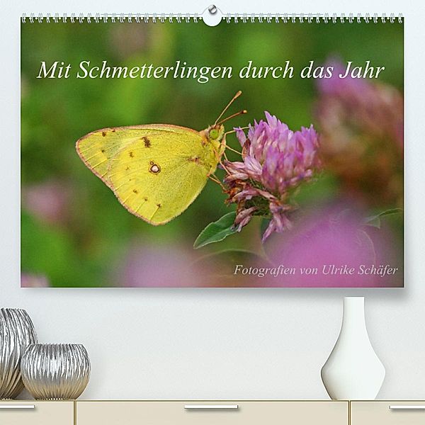 Mit Schmetterlingen durch das Jahr (Premium, hochwertiger DIN A2 Wandkalender 2023, Kunstdruck in Hochglanz), Ulrike Schäfer