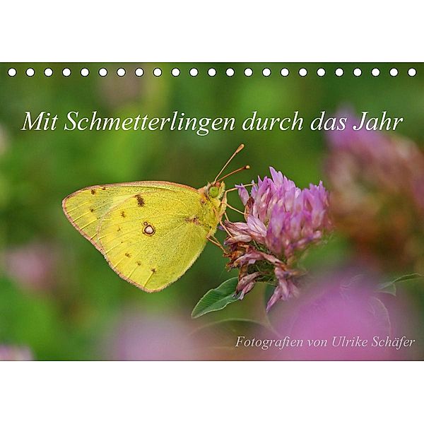 Mit Schmetterlingen durch das Jahr (Tischkalender 2020 DIN A5 quer), Ulrike Schäfer