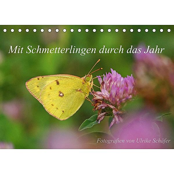 Mit Schmetterlingen durch das Jahr (Tischkalender 2023 DIN A5 quer), Ulrike Schäfer