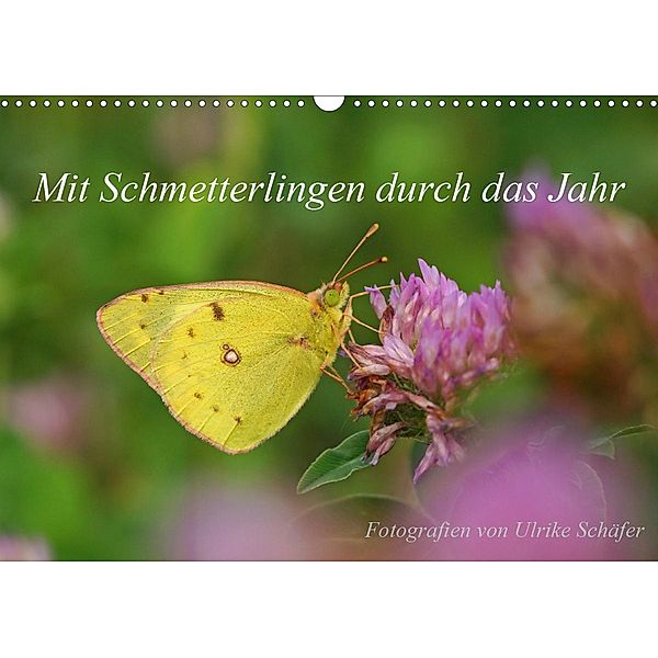 Mit Schmetterlingen durch das Jahr (Wandkalender 2021 DIN A3 quer), Ulrike Schäfer