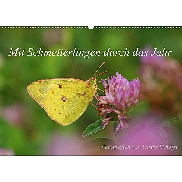 Mit Schmetterlingen durch das Jahr (Wandkalender 2023 DIN A2 quer), Ulrike Schäfer