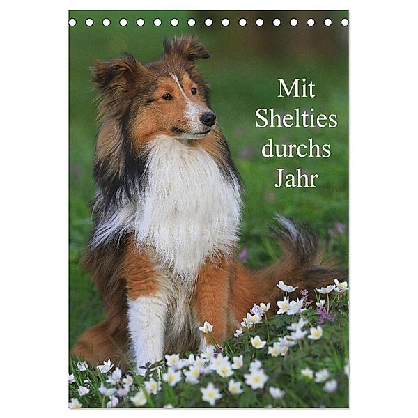 Mit Shelties durchs Jahr (Tischkalender 2024 DIN A5 hoch), CALVENDO Monatskalender, Marion Reiß - Seibert