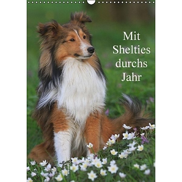 Mit Shelties durchs Jahr (Wandkalender 2016 DIN A3 hoch), Marion Reiß-Seibert