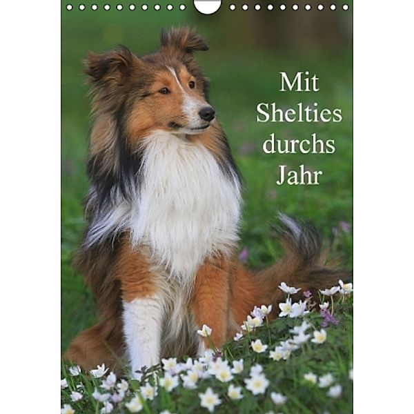 Mit Shelties durchs Jahr (Wandkalender 2016 DIN A4 hoch), Marion Reiß-Seibert
