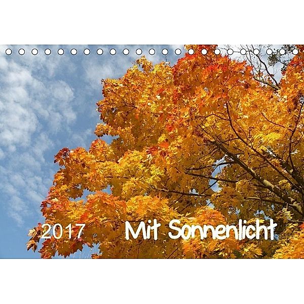 Mit Sonnenlicht (Tischkalender 2017 DIN A5 quer), Sergej Schmidt