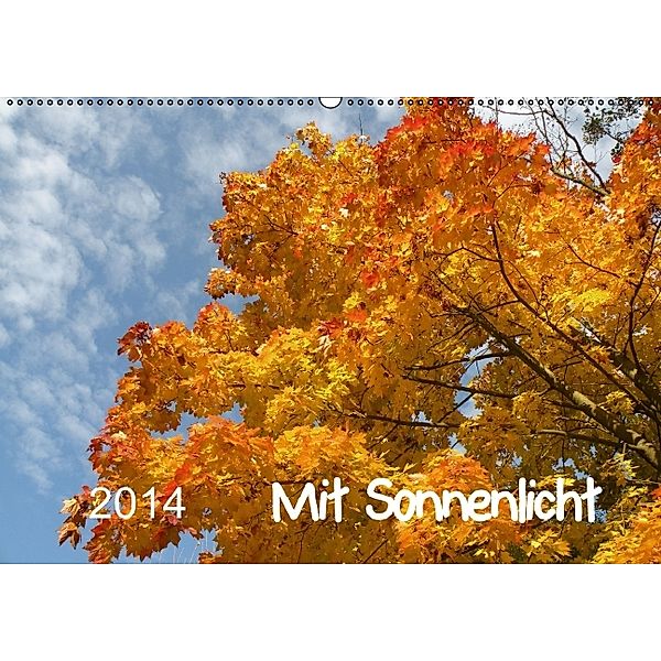 Mit Sonnenlicht (Wandkalender 2014 DIN A2 quer), Sergej Schmidt