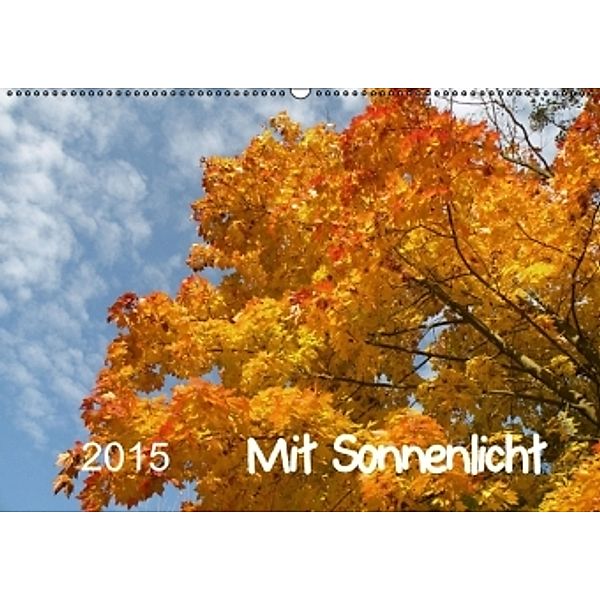 Mit Sonnenlicht (Wandkalender 2015 DIN A2 quer), Sergej Schmidt